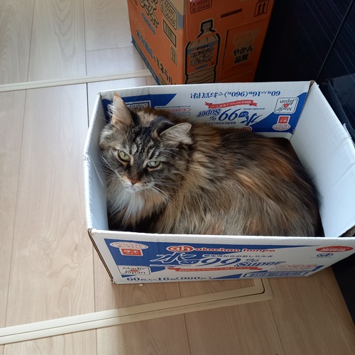 ショコラ