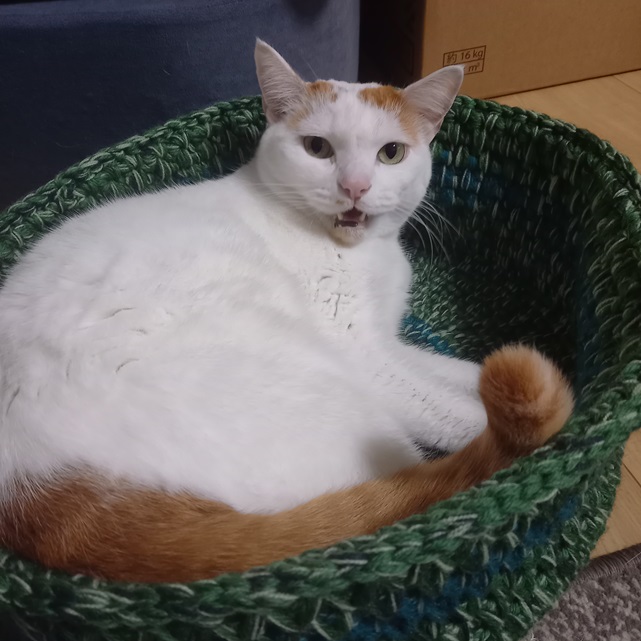 ソルト